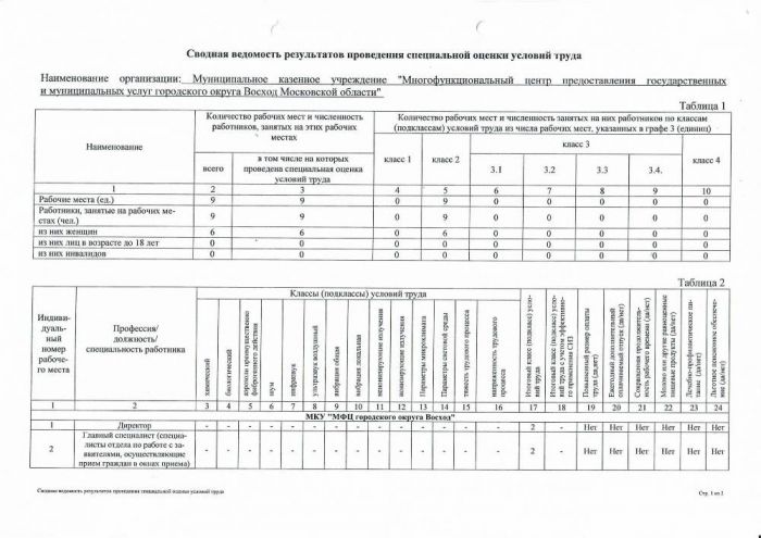 Сводная ведомость результатов проведения специальной оценки условий труда